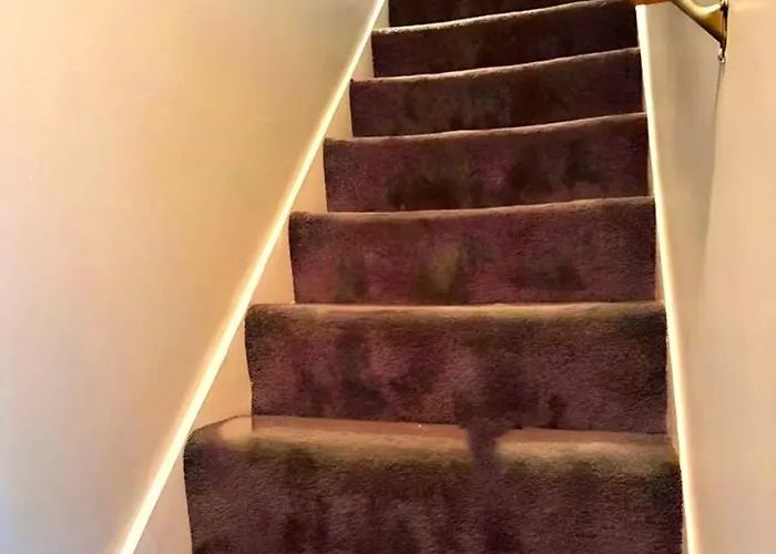 Fully Equipped Cozy 4/5 Br Apartment Chicago